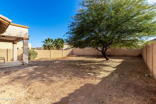 view of yard featuring a patio