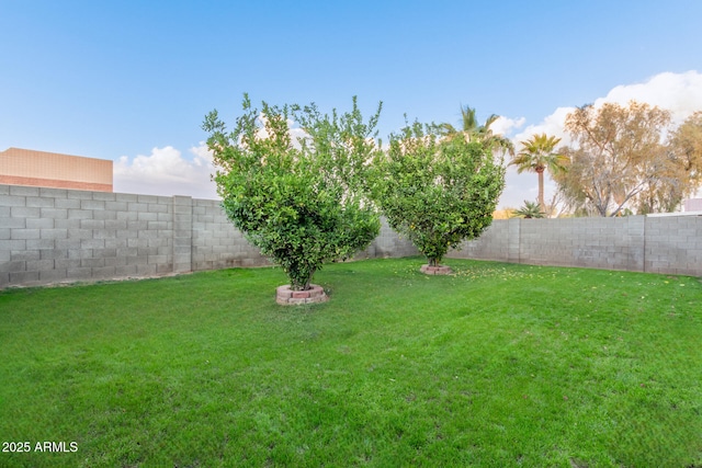 view of yard with a fenced backyard