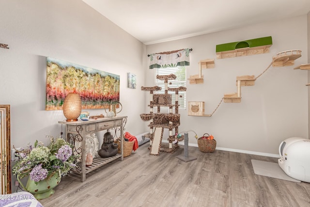 9429 E Grapefruit Dr, Florence, AZ 85132 - interior space featuring wood finished floors and baseboards