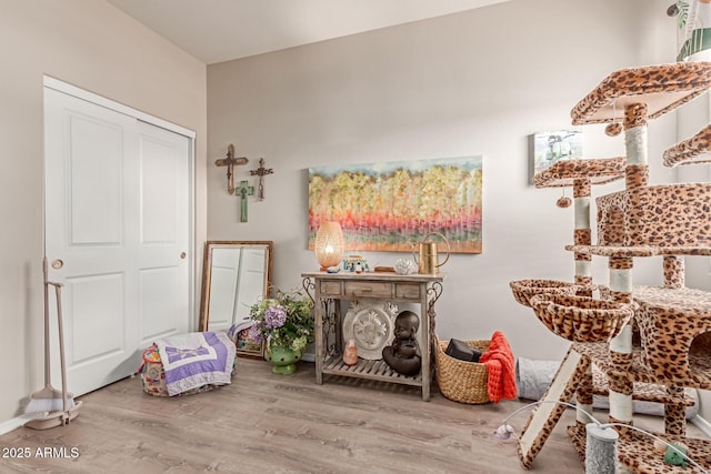 9429 E Grapefruit Dr, Florence, AZ 85132 - living area with wood finished floors