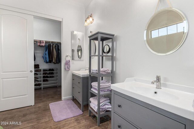 bathroom with hardwood / wood-style flooring and vanity