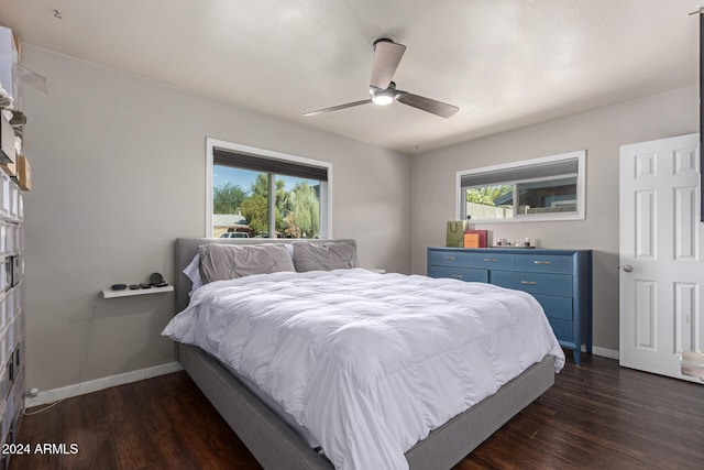 bedroom featuring ceiling fan, multiple windows, and dark hardwood / wood-style flooring