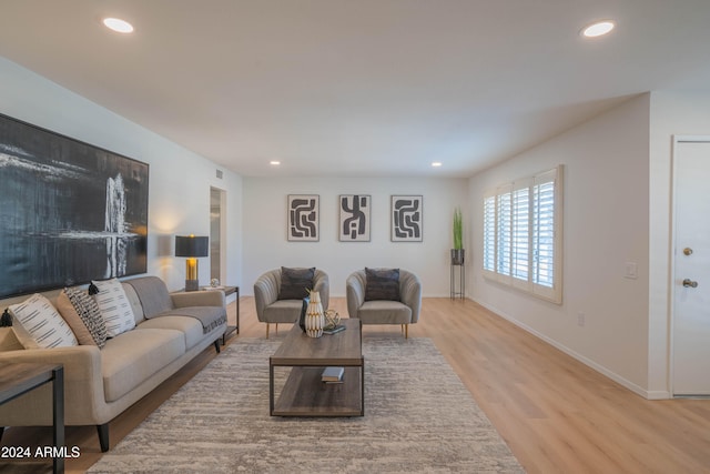 living room featuring light hardwood / wood-style floors