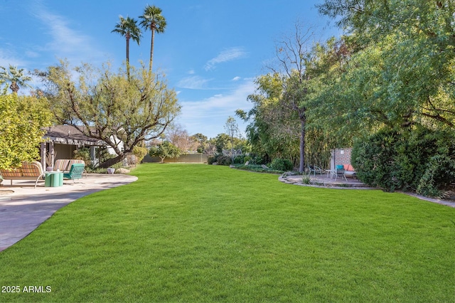 view of yard with a patio area