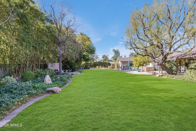 view of yard featuring a patio