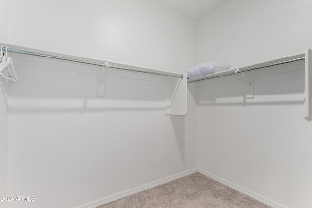 walk in closet with light colored carpet