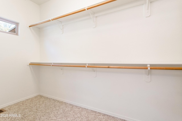 spacious closet featuring carpet flooring