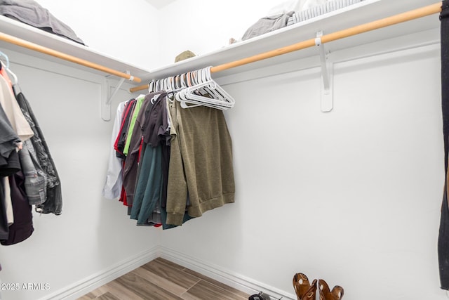 walk in closet with hardwood / wood-style flooring