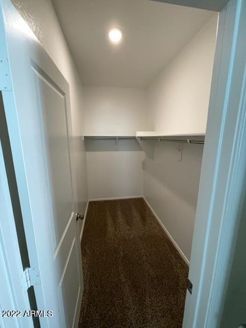 spacious closet with dark carpet