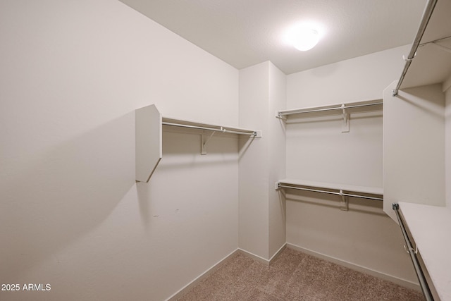 walk in closet featuring light colored carpet