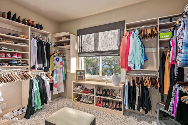 view of spacious closet