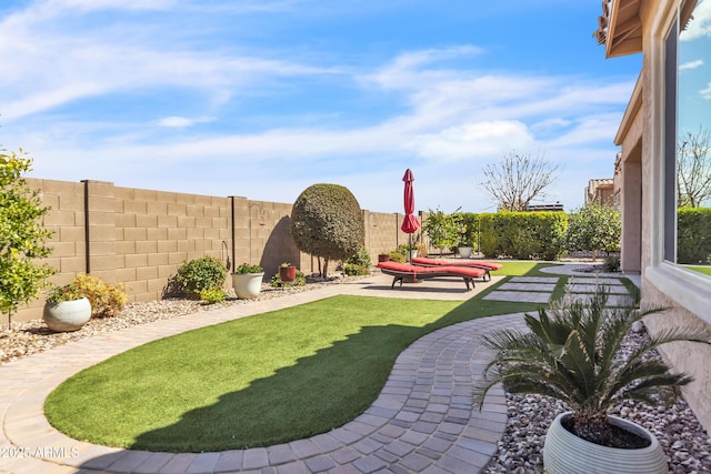 view of yard with a patio area and a fenced backyard