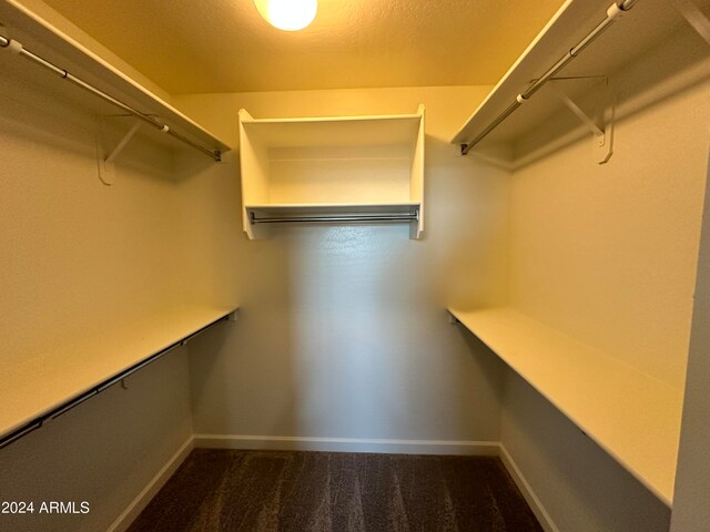 spacious closet featuring dark colored carpet