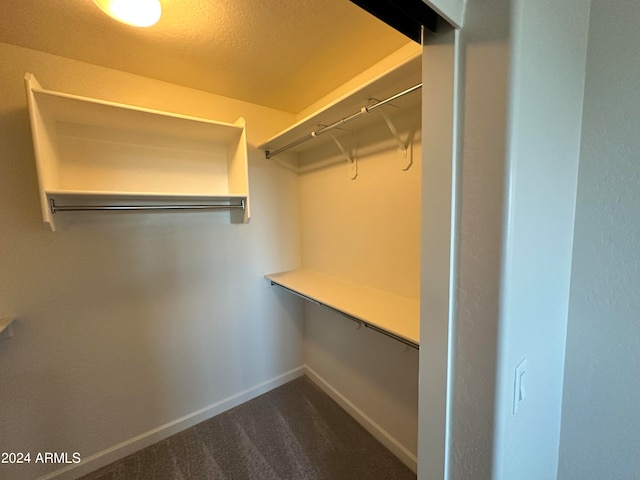 walk in closet featuring carpet