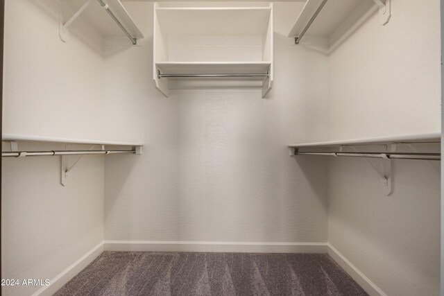 walk in closet featuring carpet flooring