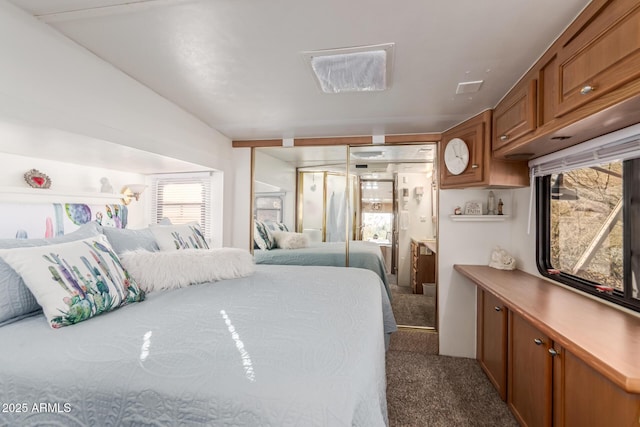 bedroom with lofted ceiling and carpet flooring