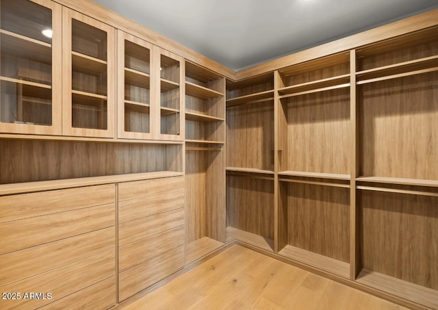 walk in closet with wood finished floors