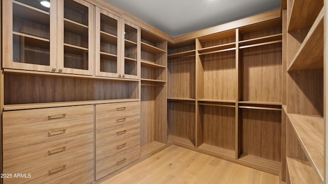10220 N 66th St, Paradise Valley, AZ 85253 - spacious closet with light wood-style floors