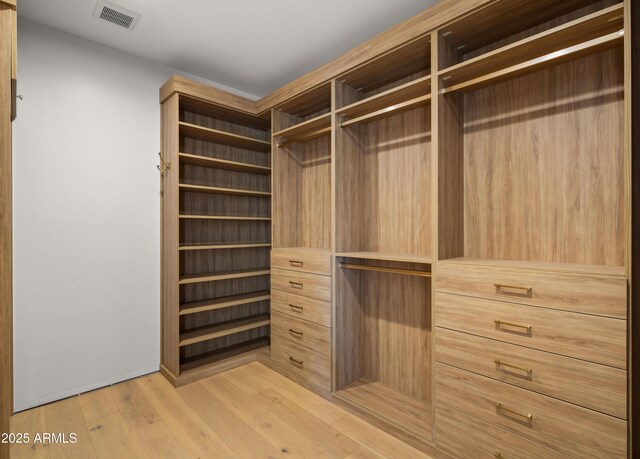 10220 N 66th St, Paradise Valley, AZ 85253 - walk in closet with visible vents and light wood-style floors
