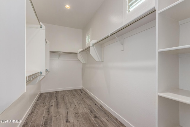 1557 E Flower St, Gilbert, AZ 85298 - walk in closet with wood finished floors