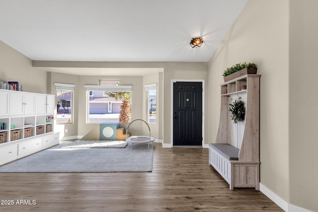 interior space with dark hardwood / wood-style flooring