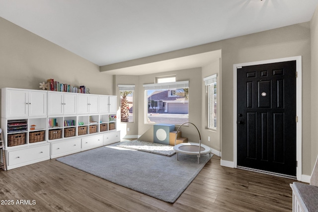 foyer featuring dark hardwood / wood-style floors