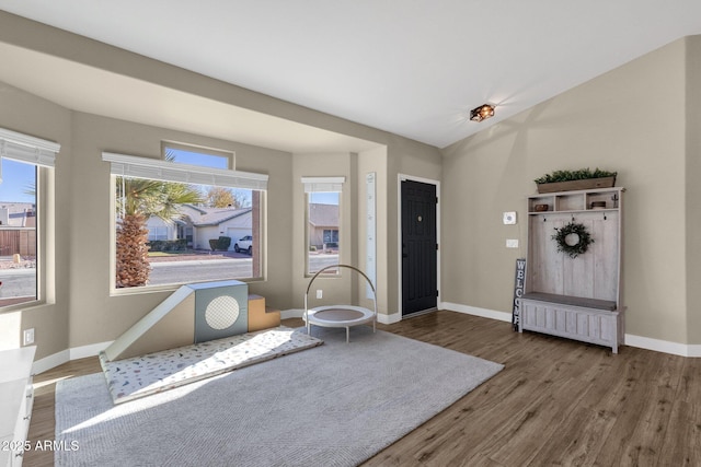 entryway with a wealth of natural light and hardwood / wood-style floors