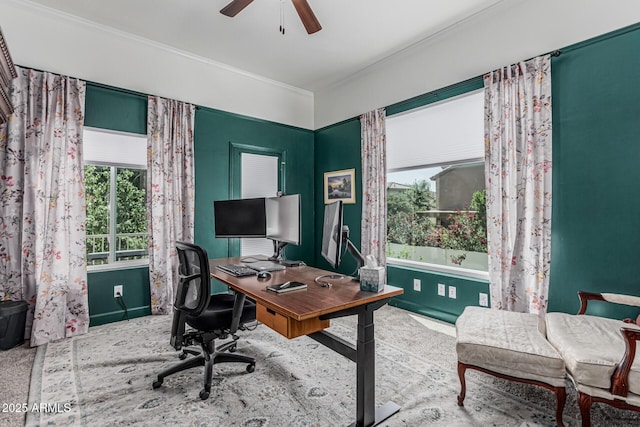 office area with a ceiling fan, baseboards, crown molding, and carpet floors