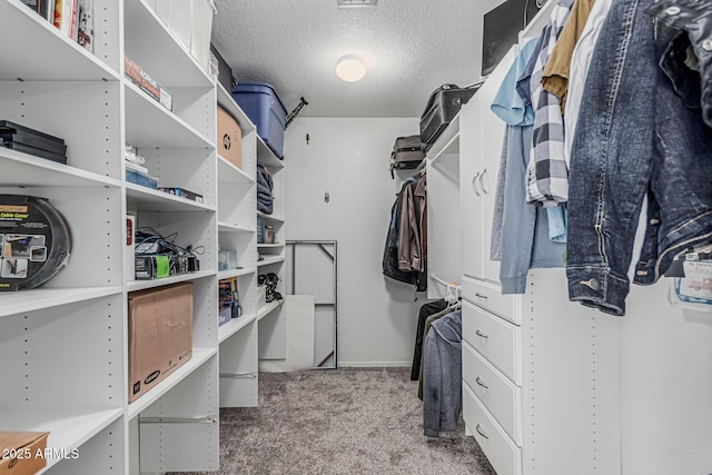walk in closet featuring carpet floors