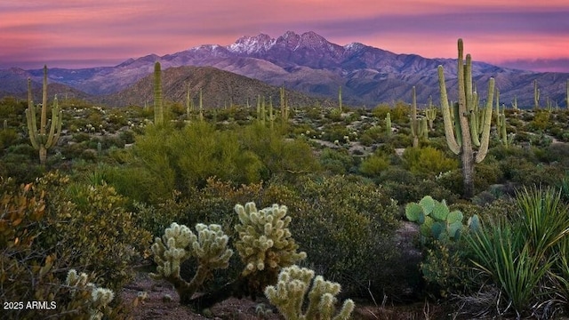 mountain view