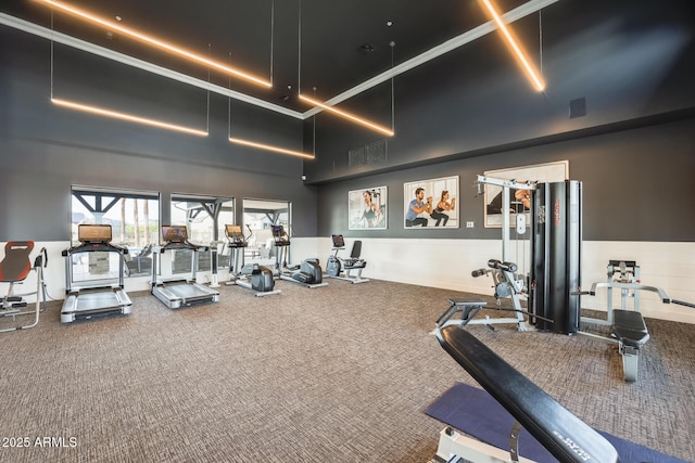 5901 E Sierra Morena St, Mesa, AZ 85215 - workout area with a wainscoted wall and carpet flooring