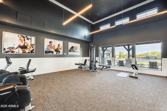 5901 E Sierra Morena St, Mesa, AZ 85215 - exercise room featuring a towering ceiling, a wainscoted wall, carpet flooring, and visible vents