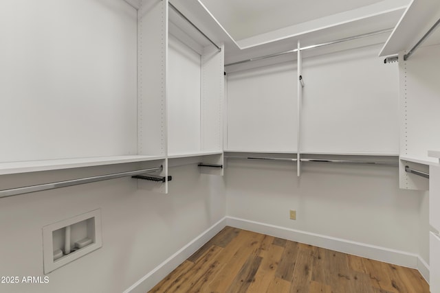 spacious closet featuring wood finished floors