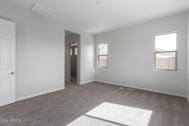 spare room featuring a wealth of natural light and carpet flooring