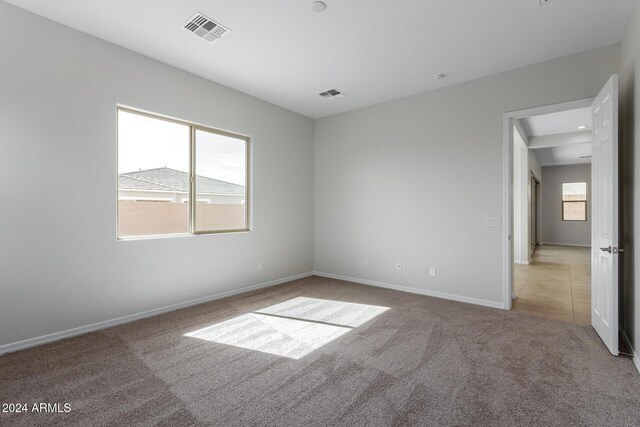 carpeted empty room with a wealth of natural light