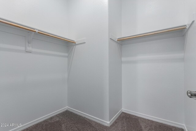 spacious closet featuring carpet floors