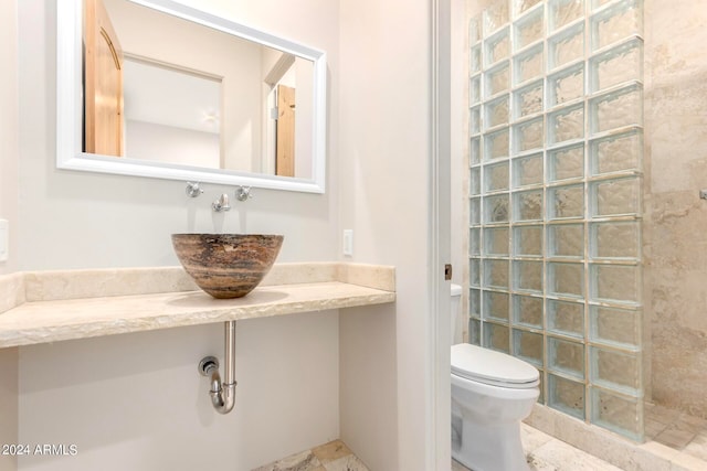 bathroom with a shower, vanity, and toilet