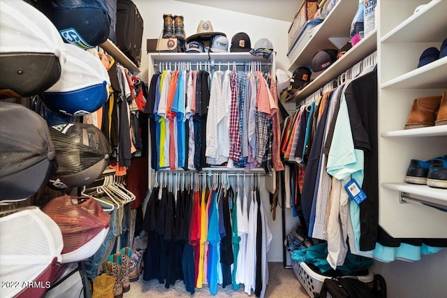 walk in closet with carpet flooring