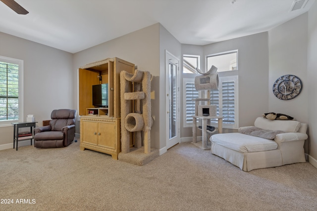 living area featuring ceiling fan and carpet floors