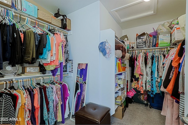 5049 E Duane Ln, Cave Creek, AZ 85331 - spacious closet featuring carpet floors and attic access
