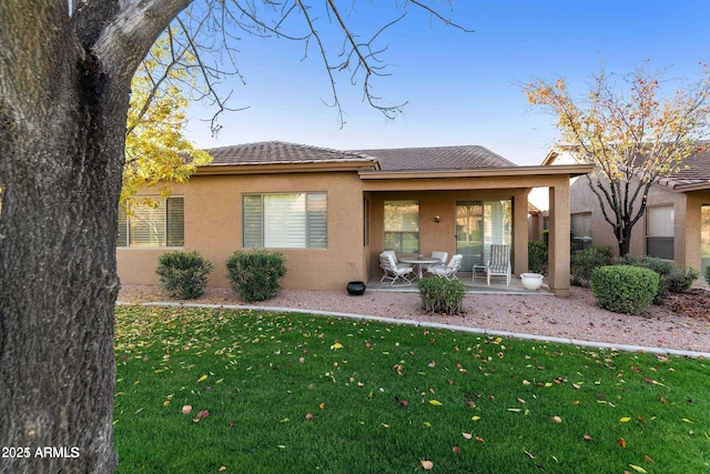 rear view of house with a patio area, stucco siding, and a lawn