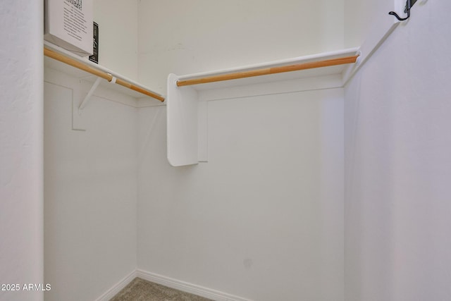 17082 S 182nd Ave, Goodyear, AZ 85338 - spacious closet with carpet