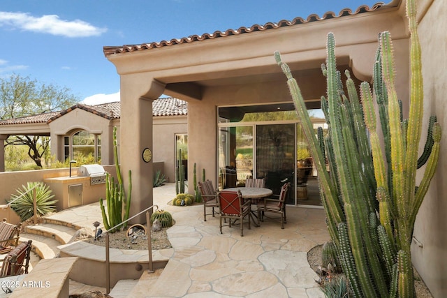 view of patio / terrace featuring area for grilling and grilling area