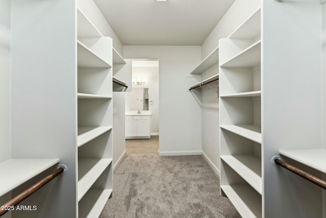 spacious closet featuring carpet floors