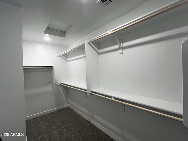 17481 W Fulton St, Goodyear, AZ 85338 - spacious closet with attic access and dark carpet