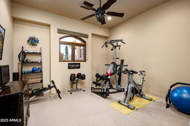 exercise room with ceiling fan and carpet