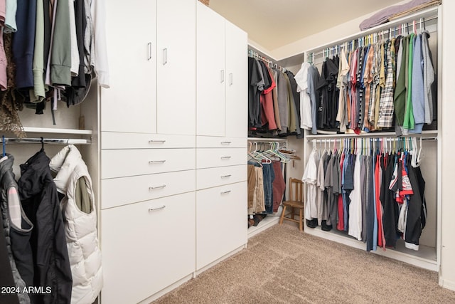 spacious closet with light colored carpet