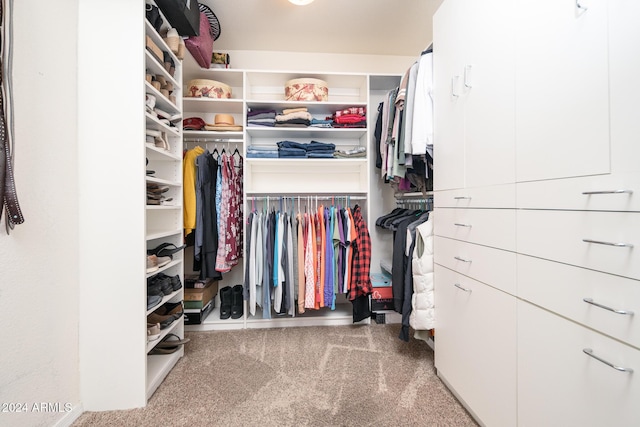 walk in closet featuring carpet