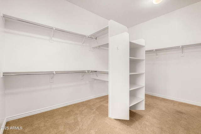 walk in closet with light colored carpet