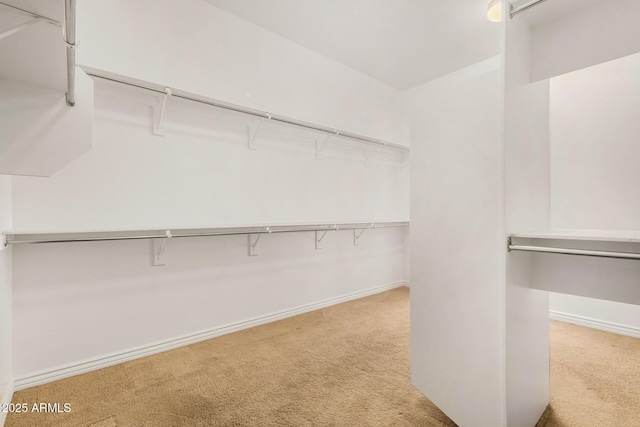 spacious closet with light carpet